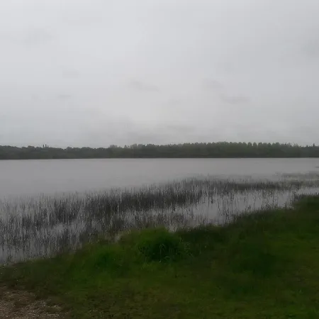 Beau T2 Tharon